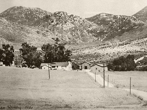 A History of San Diego Wineries